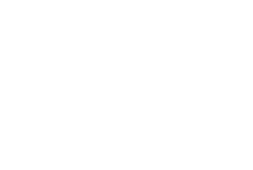 rTracer monogram